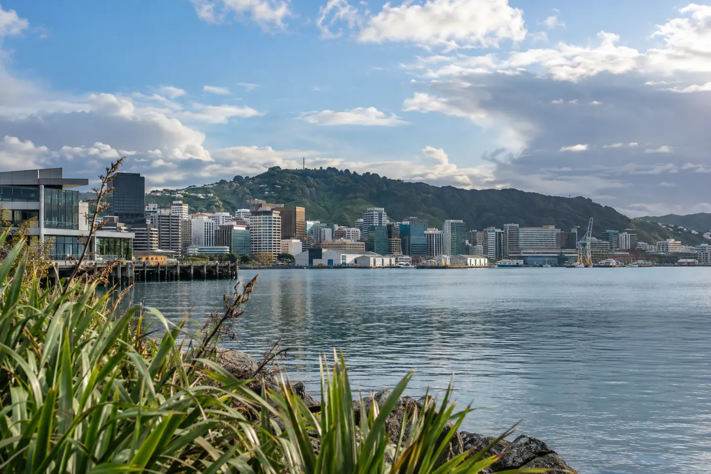 New Zealand — regulation and licence verification guide