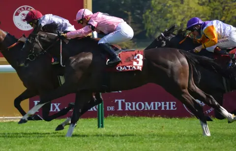 Carrera de caballos en el Prix Foy de 2023